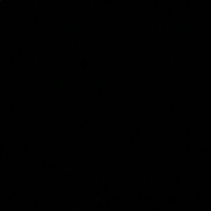 Meet your Posher, Abigail